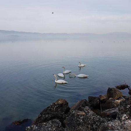 Antica Casa Di Famiglia Hotell Castiglione del Lago Eksteriør bilde