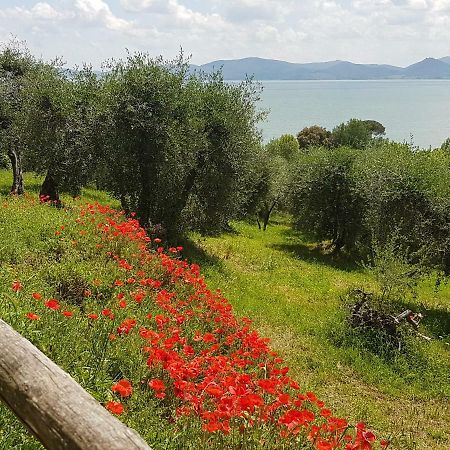 Antica Casa Di Famiglia Hotell Castiglione del Lago Eksteriør bilde