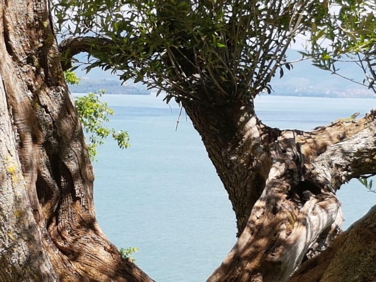 Antica Casa Di Famiglia Hotell Castiglione del Lago Eksteriør bilde